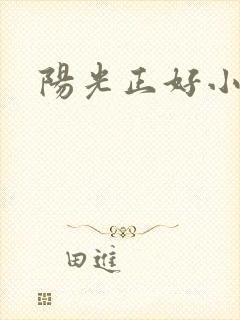 阳光正好小说