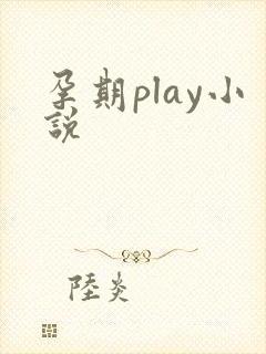 孕期play小说