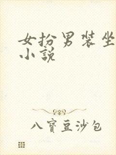女扮男装坐江山小说