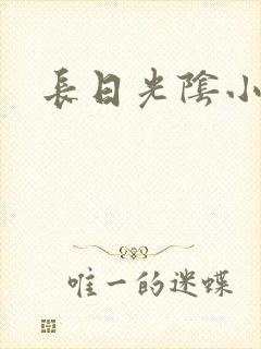 长日光阴小说封面