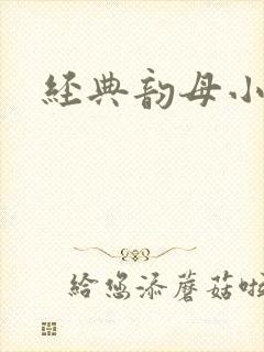经典韵母小说