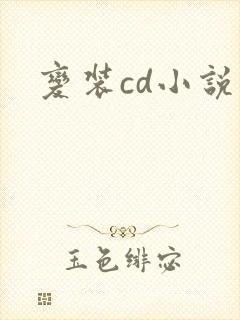 变装cd小说封面