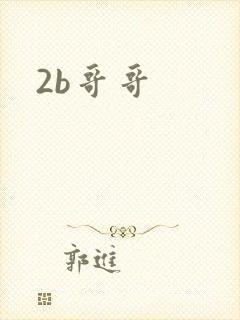 2b哥哥封面