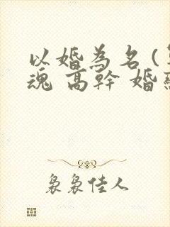 以婚为名 (军魂 高干 婚恋)