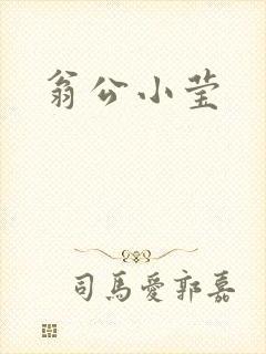 翁公小莹封面