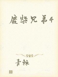 废柴兄弟4封面