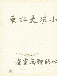 东北大坑小说