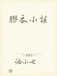 胶衣小说封面