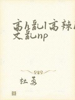 高h乱l高辣h文乱np封面