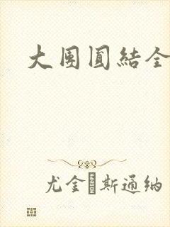 大团圆结全文封面
