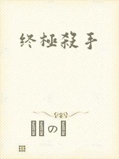 终极杀手