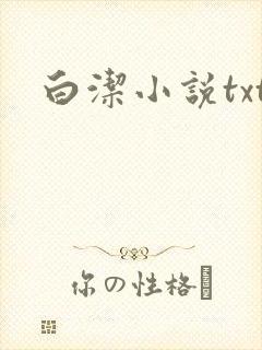 白洁小说txt