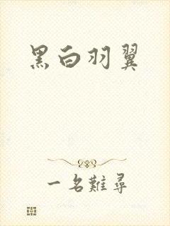 黑白羽翼