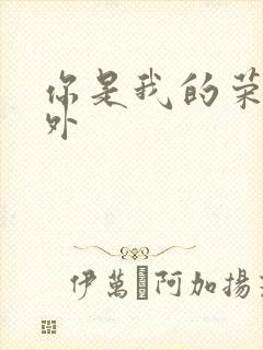 你是我的荣耀番外