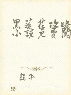 黑莲花攻略手册小说免费阅读全文