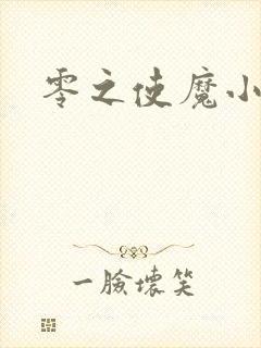 零之使魔小说