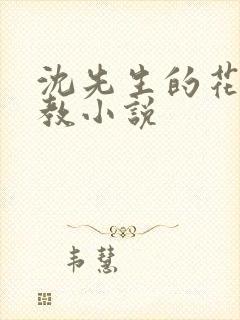 沈先生的花式调教小说封面