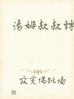 汤姆叔叔转接口