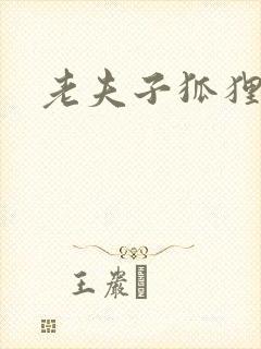 老夫子狐狸仙