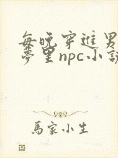 每晚穿进男神的梦里npc小说