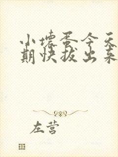 小坏蛋今天危险期快拔出来
