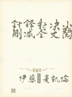 针锋对决小说未删减全文阅读