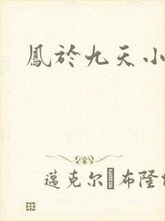 凤于九天小说
