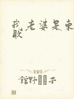 我老婆是东方不败