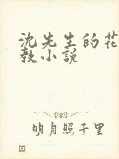 沈先生的花式调教小说