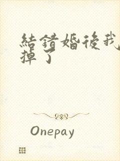 结错婚后我离不掉了