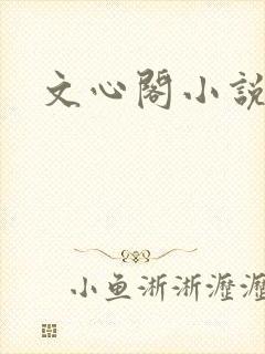 文心阁小说
