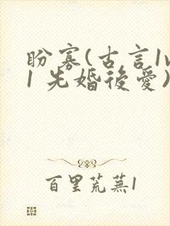 盼寡(古言1v1 先婚后爱)