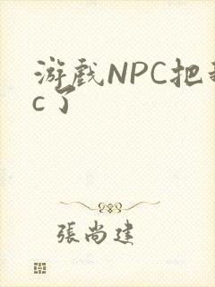 游戏NPC把我c了