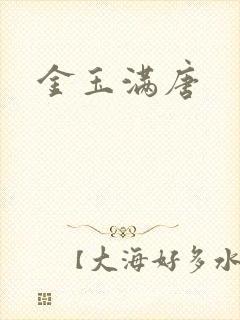 金玉满唐封面