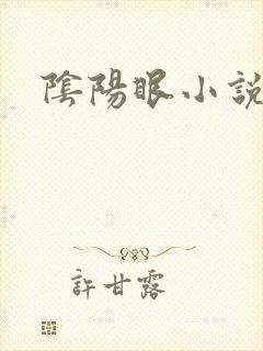 阴阳眼小说