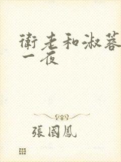 卫老和淑蓉销魂一夜封面