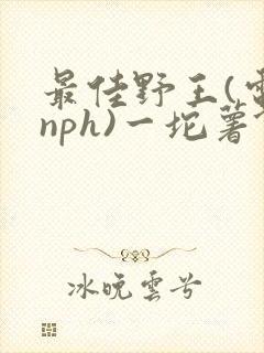 最佳野王(电竞nph)一坨薯饼