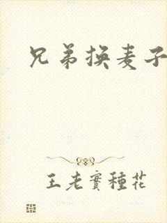 兄弟换麦子4封面