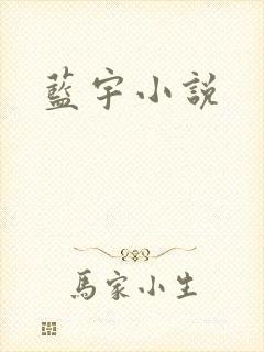 蓝宇小说封面