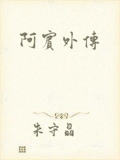 阿宾外传封面