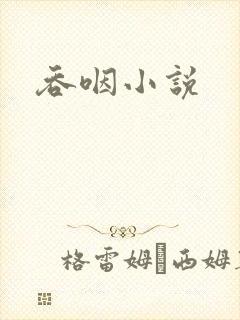 吞咽小说