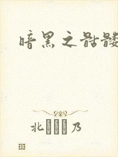 暗黑之骷髅王
