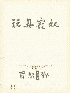 玩具宠奴