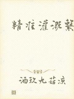 精准灌溉系统封面