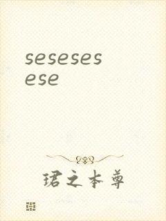 sesesesese封面