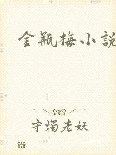 金瓶梅小说下载封面