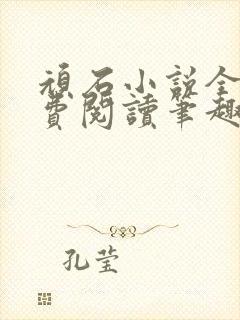 顽石小说全文免费阅读笔趣阁