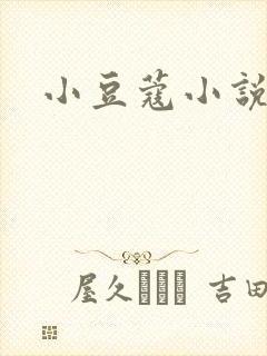 小豆蔻小说