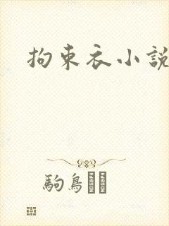 拘束衣小说