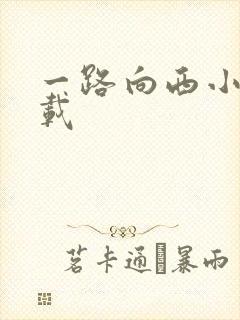一路向西小说下载